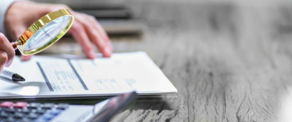 Revisor fiscal en propiedad horizontal