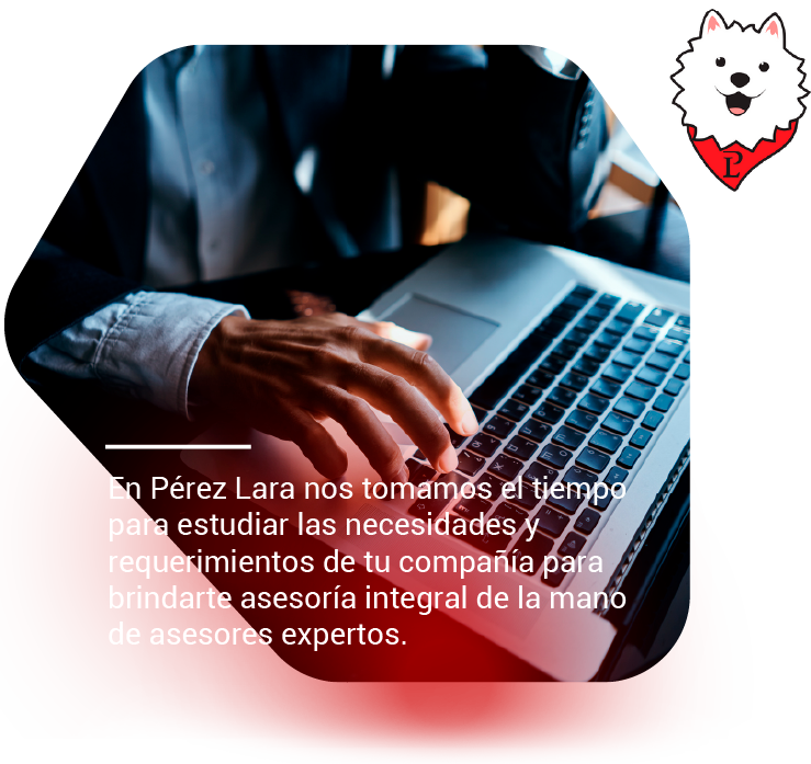 pólizas para empresas de vigilancia