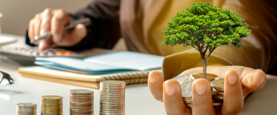 cómo usar un segur de vida como inversión